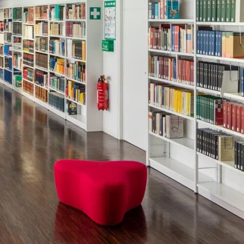 Wissenschaftliche Fachbibliothek Regal